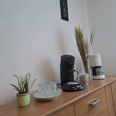 בית נופש Camelia's